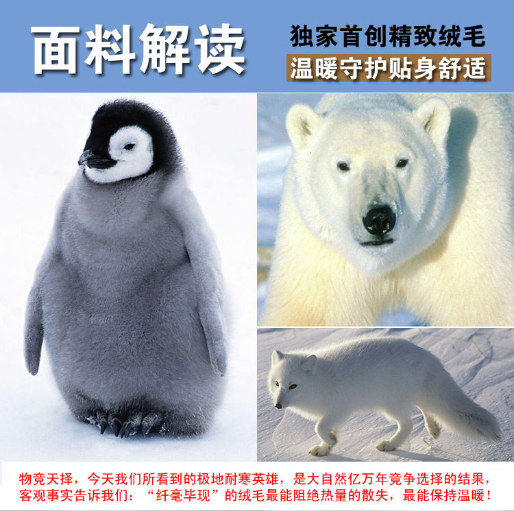 Pantalon collant Moyen-âge mouvement en coton - Ref 751297 Image 5