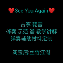 See You Again 古筝琵琶转D调G调音乐演唱弹配乐伴奏曲谱乐器定制