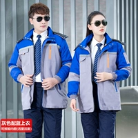 Пять династий с серой с синей живой лапшой