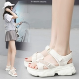 公猴 Tide, сандалии, спортивная летняя универсальная обувь на платформе для отдыха, коллекция 2021, популярно в интернете