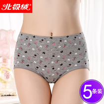 Arctic velvet underwear female pure cotton mid-waist girl cotton girl cartoon sweet and cute summer briefs student