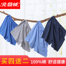 Arctic velvet middle-aged and elderly underwear mens pure cotton boxer mens summer thin loose dad plus fat plus boxer shorts