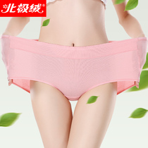Arctic velvet plus size underwear female fat mm200 kg pure cotton high waist mid waist plus fat plus cotton fabric briefs