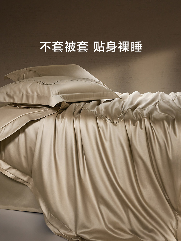 Luolai Home Textiles 120S Pure Cotton 100% Mulberry Silk Quilt, Machine Washable, Skin-Friendly, No Cover Needed, Quilt Core for All Seasons, Wedding Quilt