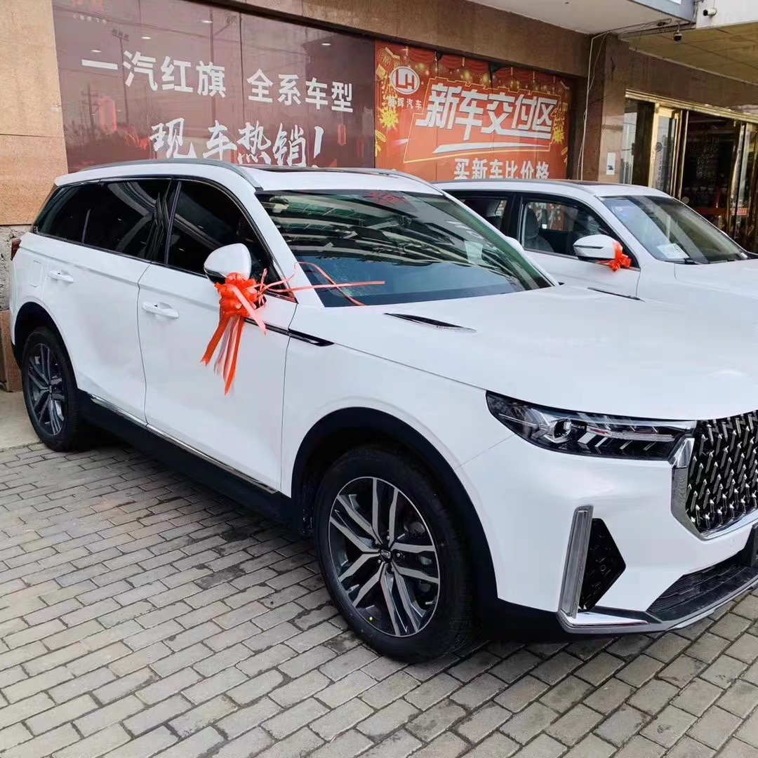 Totem T99 luggage rack roof decorated luggage rack Pentium T99 pedal upper and lower luggage rack screw mounting