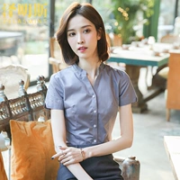Grey Ming Lab (V Stand -Up воротник)