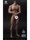 In Stock Worldbox 1/6 Male Soldier Figure Durable Muscle Body At020 018 027 Etc. Suitable for Male Head Sculpt