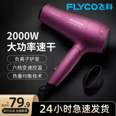Feike hair dryer household high-power hair salon shop hot and cold wind negative ion silent student hair dryer tube