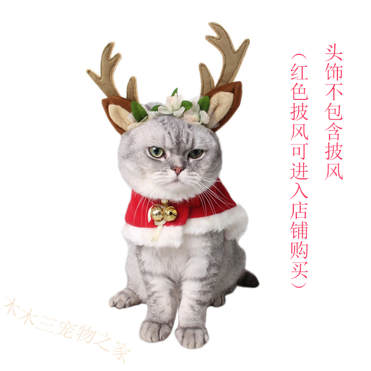 Cats and dogs angle headdress pets dressed up cats Ying Teddy Large Dog Golden Hair Cover Hair