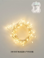 Модель наружной батареи длиной 3 метра, 100 светлых серебряных проводов