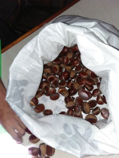 用蛇皮布袋装的