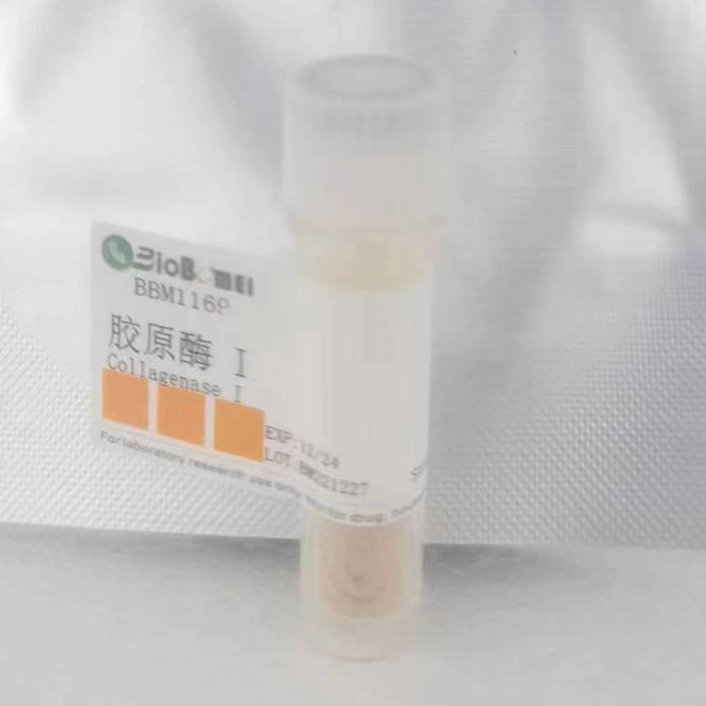 胶原酶I / Collagenase I  &ge;125u/mg 科研实验试剂CAS:9001-12-1