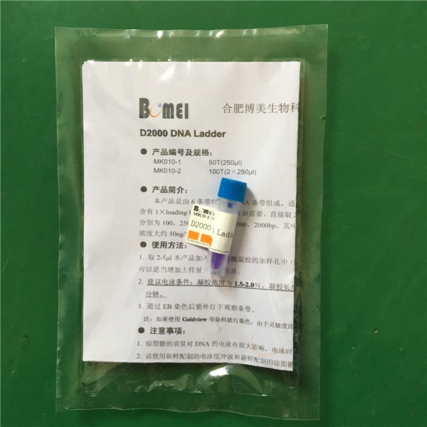 次高分子量蛋白 Marker（43KD-200KD）科研实验试剂10T