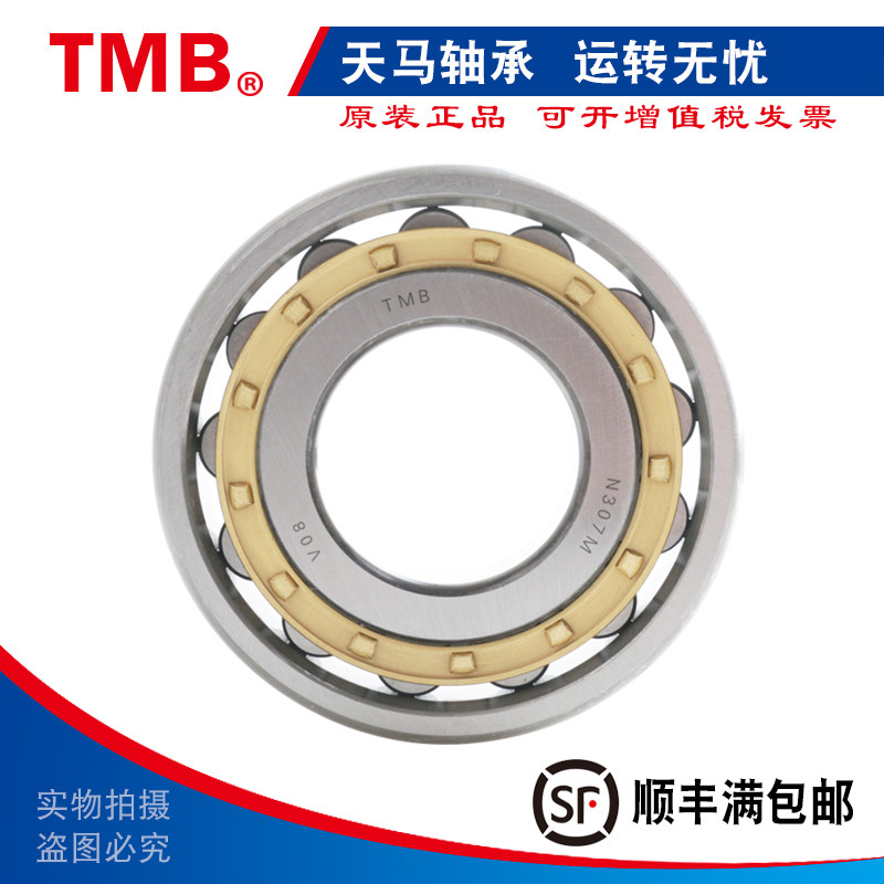 TMB Tianma cylindrical roller bearing N NJ NU208 209 210 211 212 213 214EM C3
