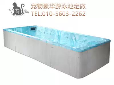 Pet pool Pet shop dedicated swimming pool acrylic pet pool pet SPA bath pool