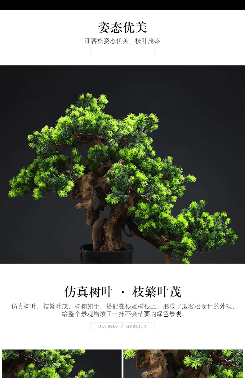 MaiTao creative simulation guest - the greeting pine bonsai home furnishing articles furnishing articles between sitting room porch soft outfit green plant example ceramics