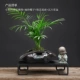 Маленькие растения в горшках+маленький монах Zen Si Buddha (карманный кокосовый орех+горшок с тибером+предприятие Teppanyi)