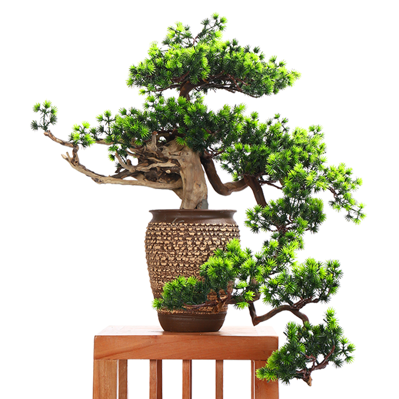 MaiTao creative simulation guest - the greeting pine bonsai home furnishing articles furnishing articles between sitting room porch soft outfit green plant example ceramics