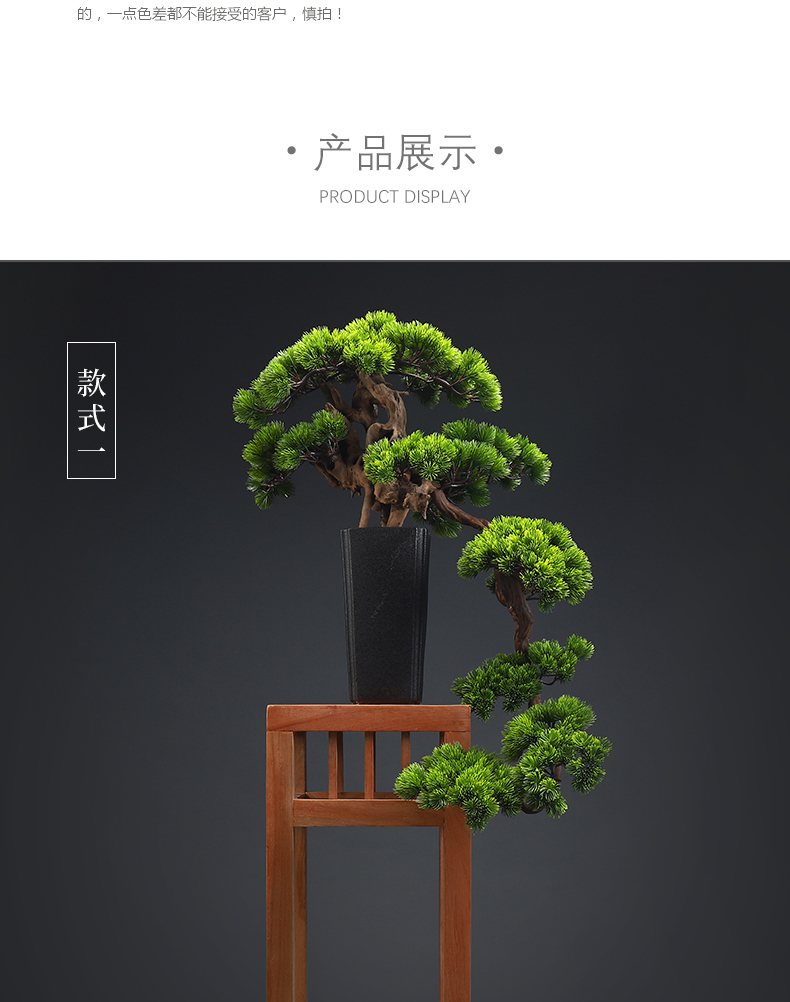 MaiTao retro simulation guest - the greeting pine bonsai home furnishing articles furnishing articles between sitting room porch soft outfit green plant example ceramics