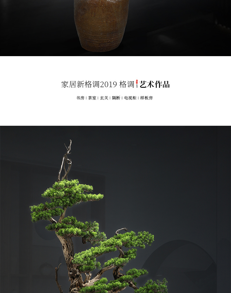 New Chinese style household furnishing articles MaiTao guest - the greeting pine bonsai four seasons hotel corridor green plant porch decoration