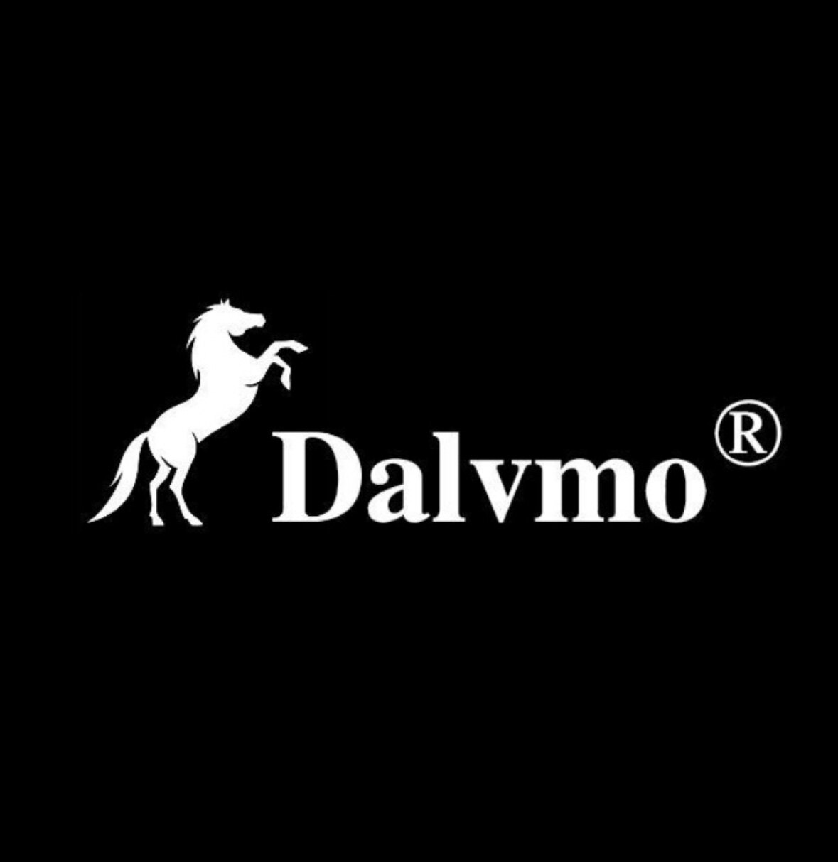 Dalvmo大陆马