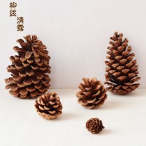 Pine pines pine cone decoration natural dried flower wild big pine fruit handicraft Pinus pine ornaments Christmas accessories pine ball