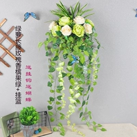 Зеленая наготовая роза шампанское шампанское шампанское висеть