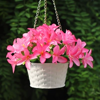 Сяоли глубокий порошок+бассейн подвески