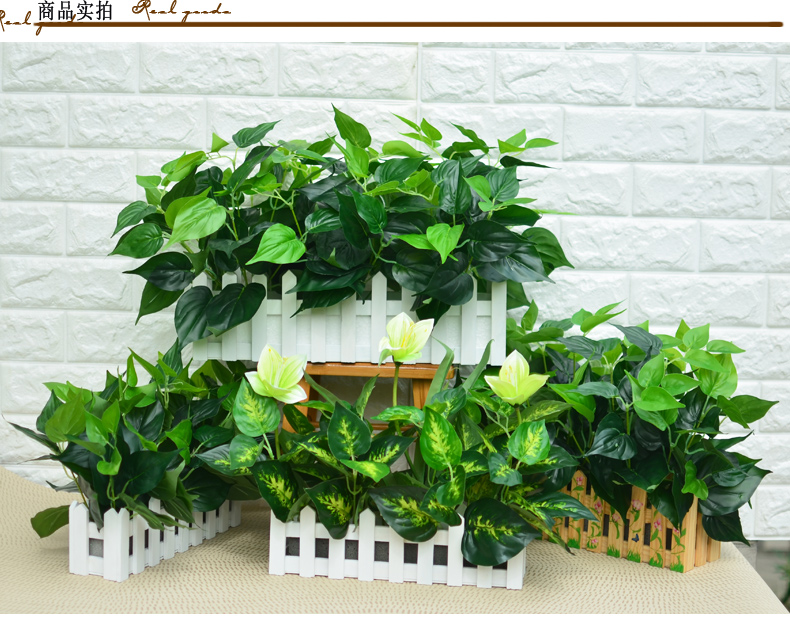 Mô phỏng cây xanh hàng rào hoa hàng rào cây giả chậu trong phòng khách cửa sổ trang trí giả hoa chụp đạo cụ trang trí - Hoa nhân tạo / Cây / Trái cây bình hoa giả để bàn