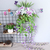 Нагото -лили -пурпурная белая стена висит