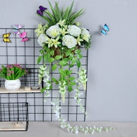 Нагото зеленый