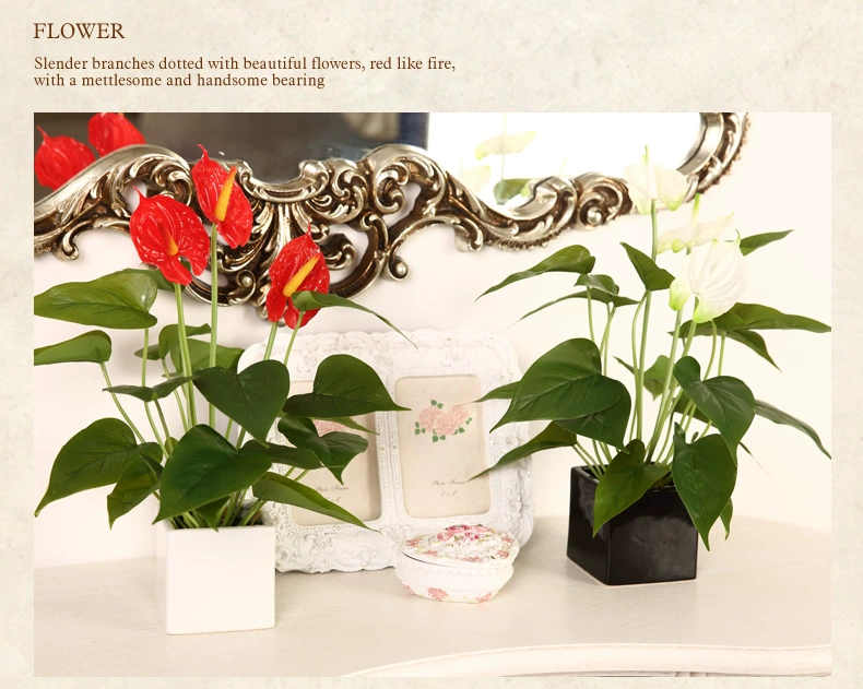 Mô phỏng cây xanh Anthurium chậu nhỏ cây giả phòng khách hoa giả trang trí hoa nhà cây hoa nhỏ bonsai bộ - Hoa nhân tạo / Cây / Trái cây