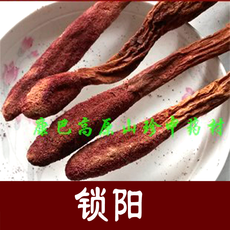 Conba Herbal Medicine Lock Yang Desert Lock Yang Lock Yang Piece 250 gr