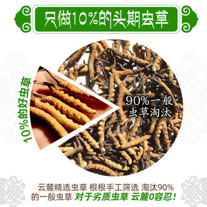 云麓新鲜冬虫夏草正品头期冬虫草干货4根/克礼盒装【送检测报告】