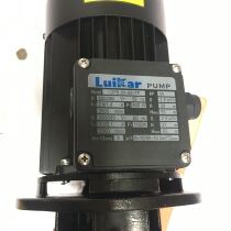 Vertical Multi-Level Pump ldpb2v-60TP New Stainless Steel Lokai Rui Gia Electric GLENU IKAR