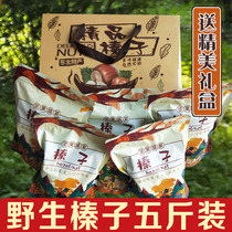 Northeast wild big hazelnut gift box loaded with 5 catties fresh hand pat opening special production nut snacks for the autumn Chinese New Years companion