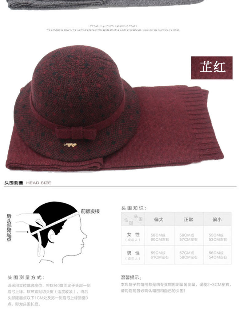 Chapeau pour femme en Melange de laine - Ref 3233599 Image 22