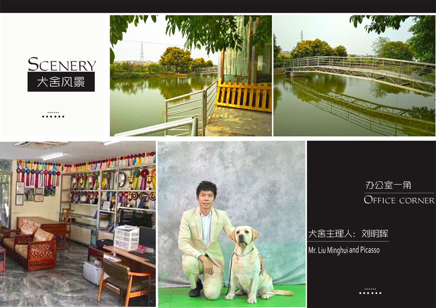 Thức ăn cho chó tổng hợp dành cho chó trưởng thành tùy chỉnh Hentra Brado Kennel để tự sử dụng 20 kg / miếng - Gói Singular thức ăn hạt cho chó