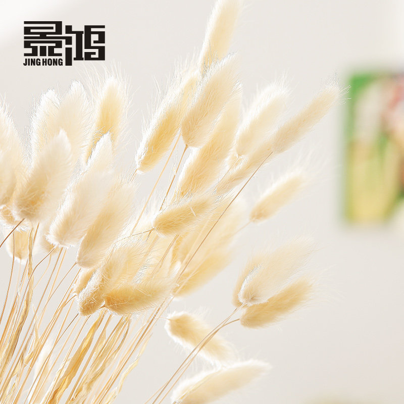 ������β��10֧һ��װ�λ�