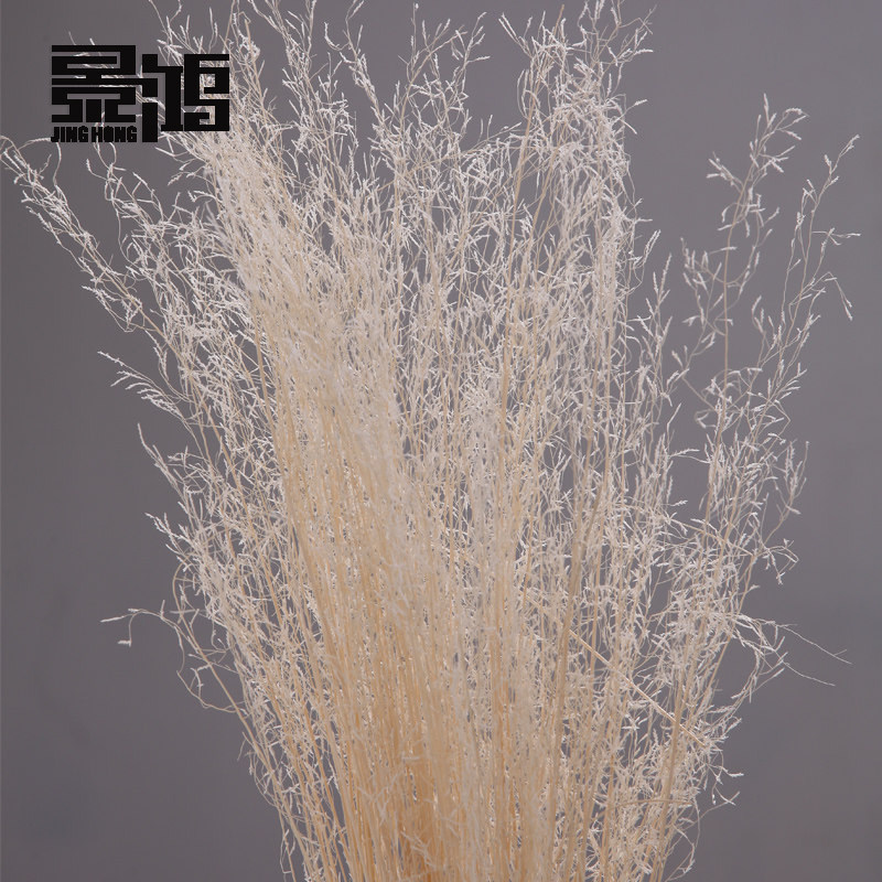 ����ٲݰ�ƫ��װ�λ�