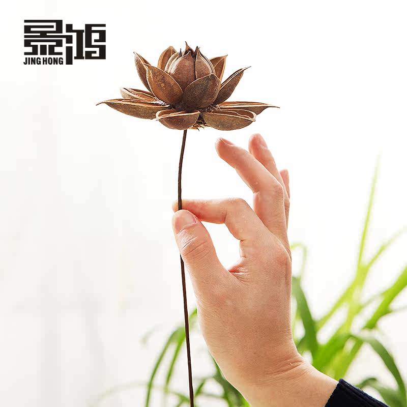 ����ľ����/̨������ٻ�0006