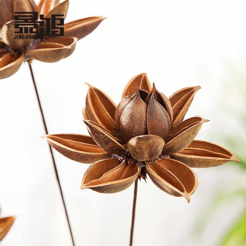 ����ľ����/̨������ٻ�0006