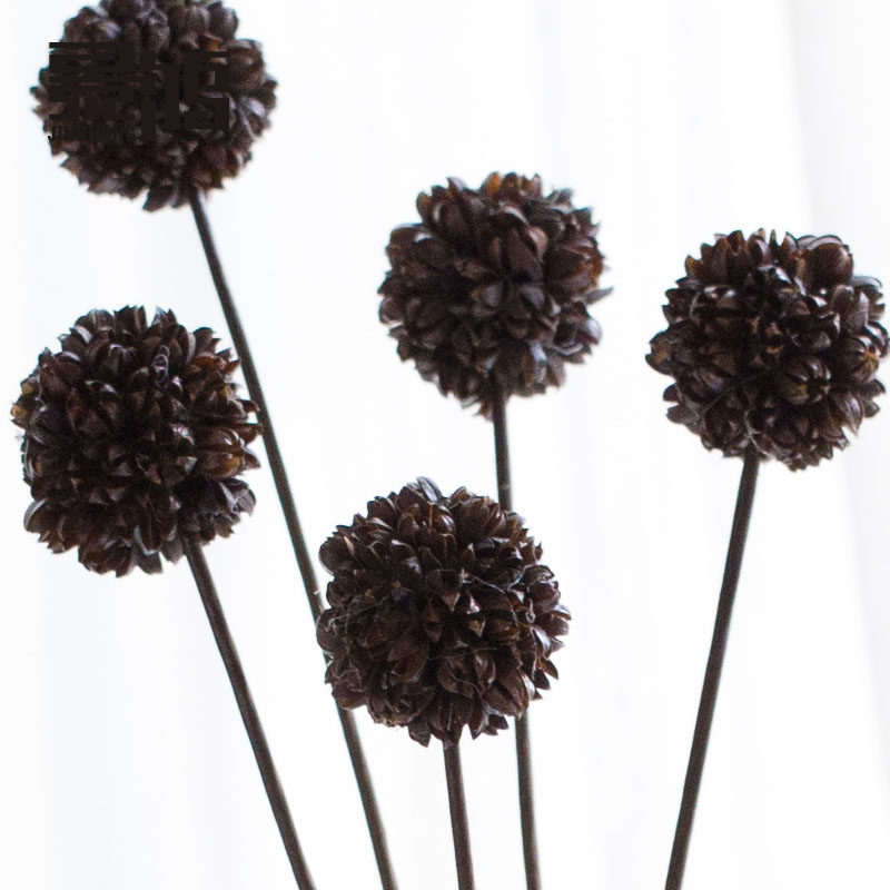 ����ɻ��ɹ������ڼ�