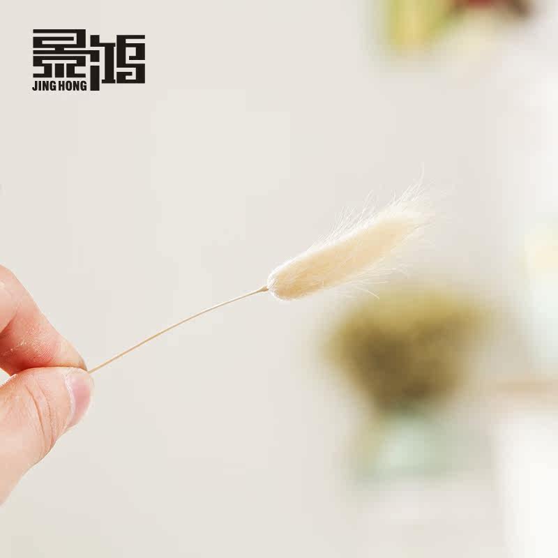 ������β��10֧һ��װ�λ�