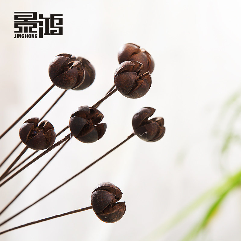 ����ƺ�Ц/װ�λ�