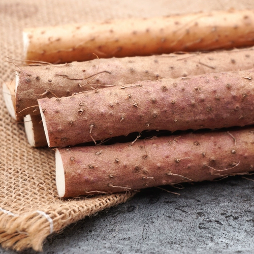 聚怀斋 Jiaozuo wenxian свежее песчаное железо, палка, подарочная коробка Yam 3kg 80/90 см Huai Yama