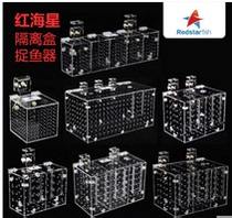 Red starfish soft coral clown fish tank aquarium multifunctional isolation box fish catcher breeding box