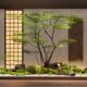 Simulated plant landscaping maple interior decoration