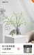 Симуляция xueliu 5+glacier vase