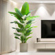 Bird of paradise bionic